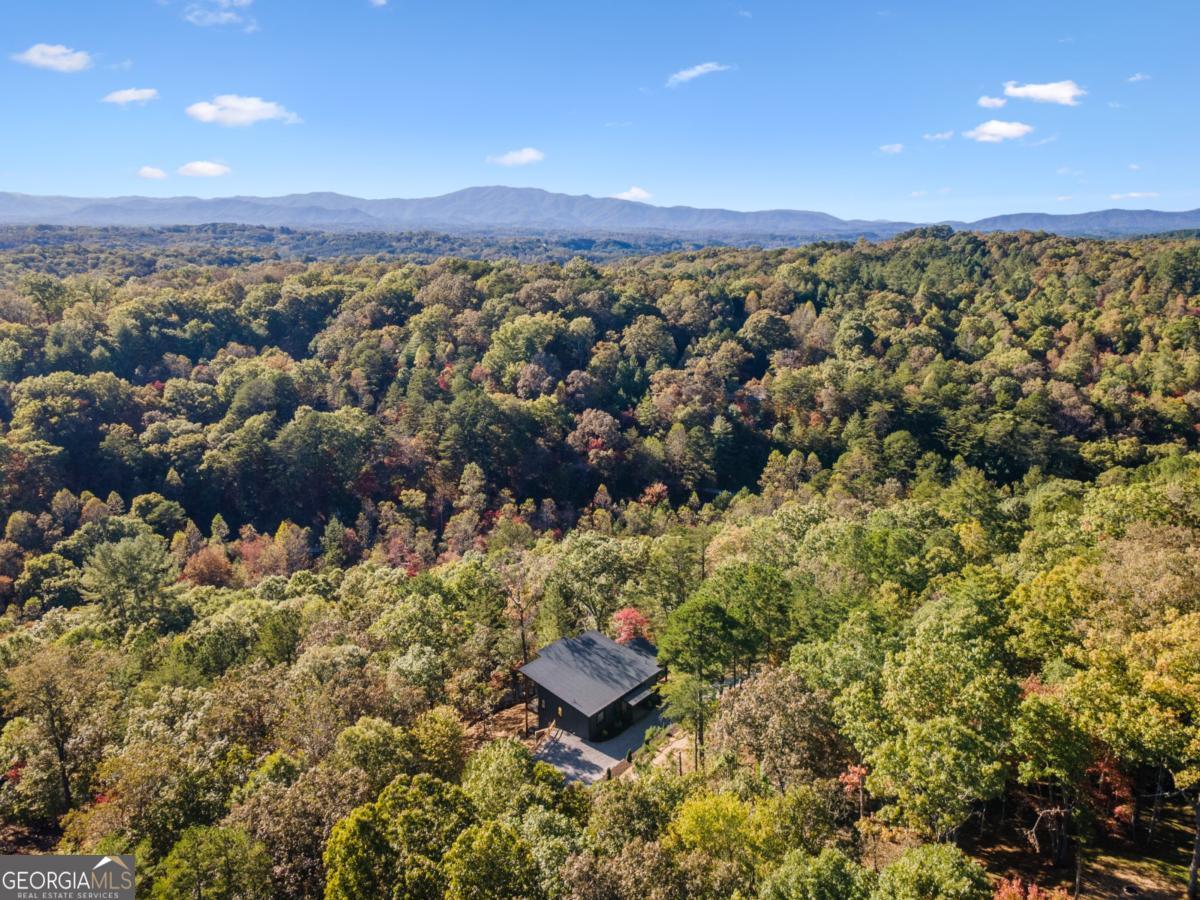 65 Wolf Creek Heights Mineral Bluff GA 30559