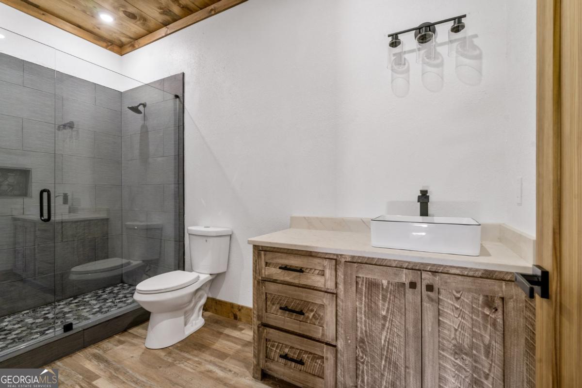 65 Wolf Creek Heights Mineral Bluff GA 30559