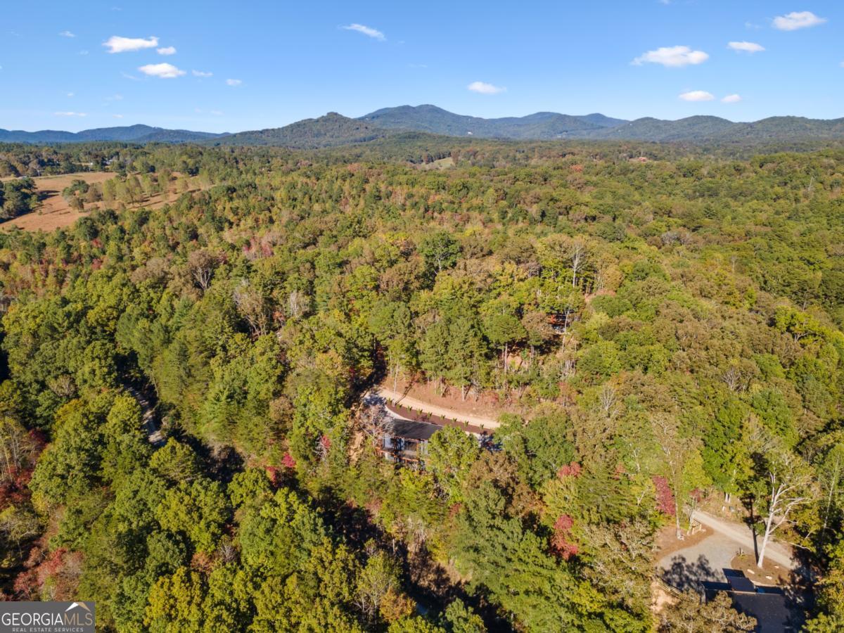 65 Wolf Creek Heights Mineral Bluff GA 30559