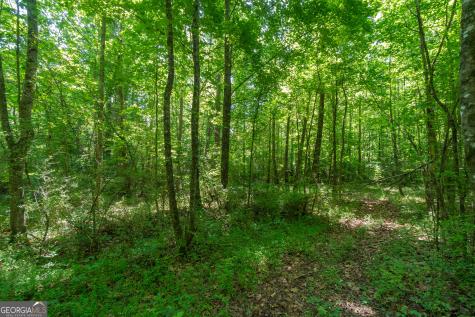 440 Joe Franklin Road Sautee Nacoochee GA 30571