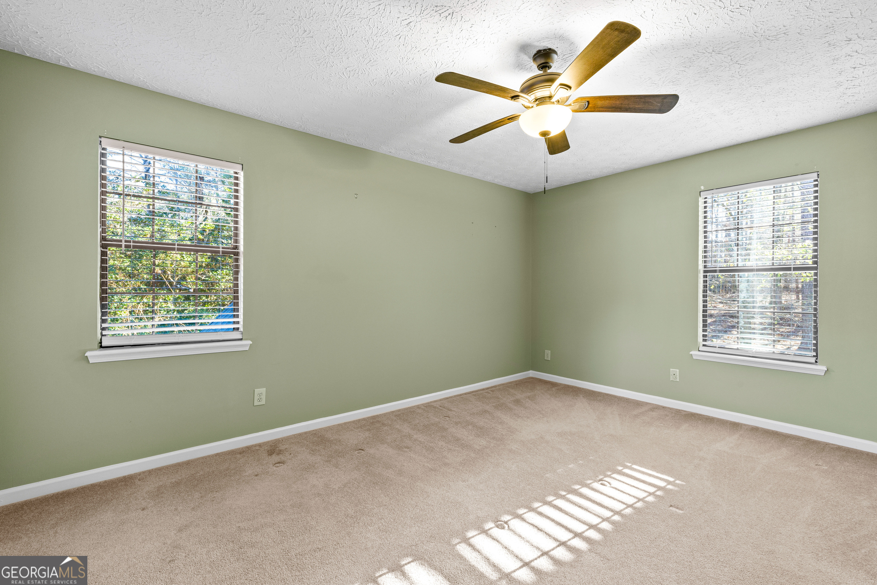 133 Long Leaf Peachtree City GA 30269