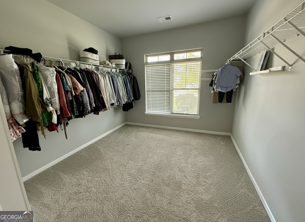 310 Savannah Drive Senoia GA 30276