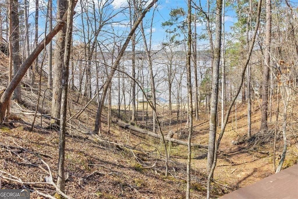 1075 Willow Way Lincolnton GA 30817