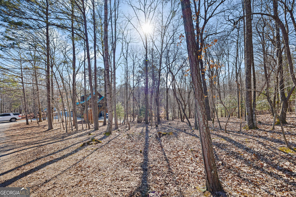 612 Medina Court Ellijay GA 30540