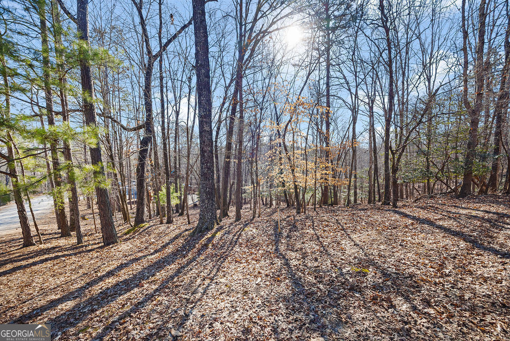 612 Medina Court Ellijay GA 30540
