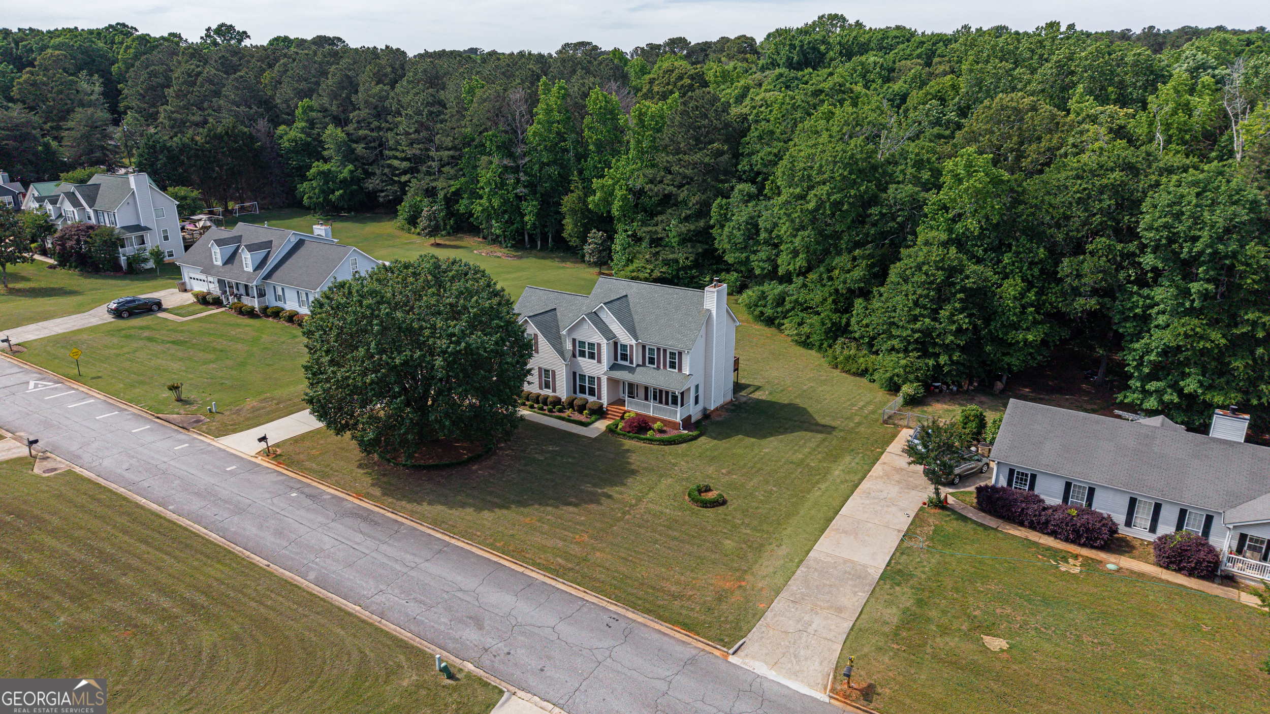 787 Daileys Creek Drive Mcdonough GA 30253