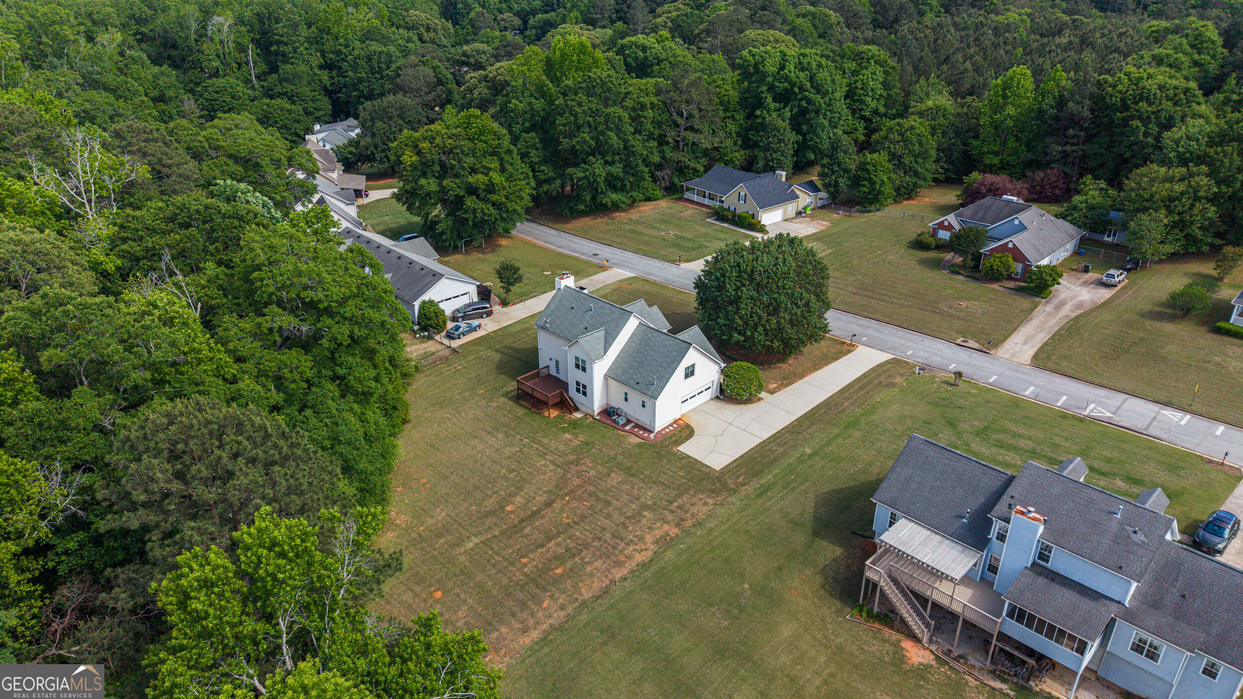 787 Daileys Creek Drive Mcdonough GA 30253