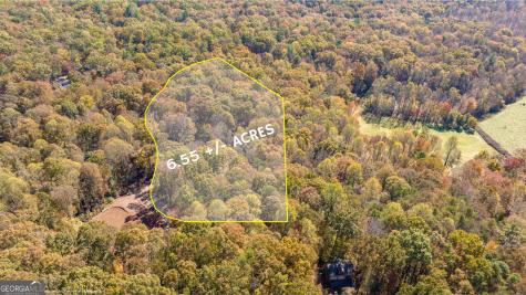 1010 Meadowview Ridge Clarkesville GA 30523