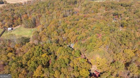 1010 Meadowview Ridge Clarkesville GA 30523