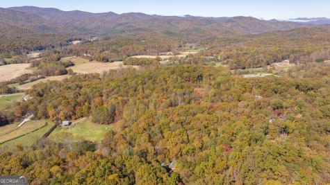 1010 Meadowview Ridge Clarkesville GA 30523