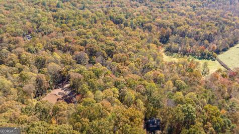1010 Meadowview Ridge Clarkesville GA 30523