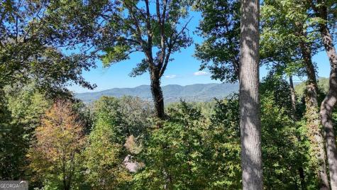 288 Sunny View Drive Blairsville GA 30512