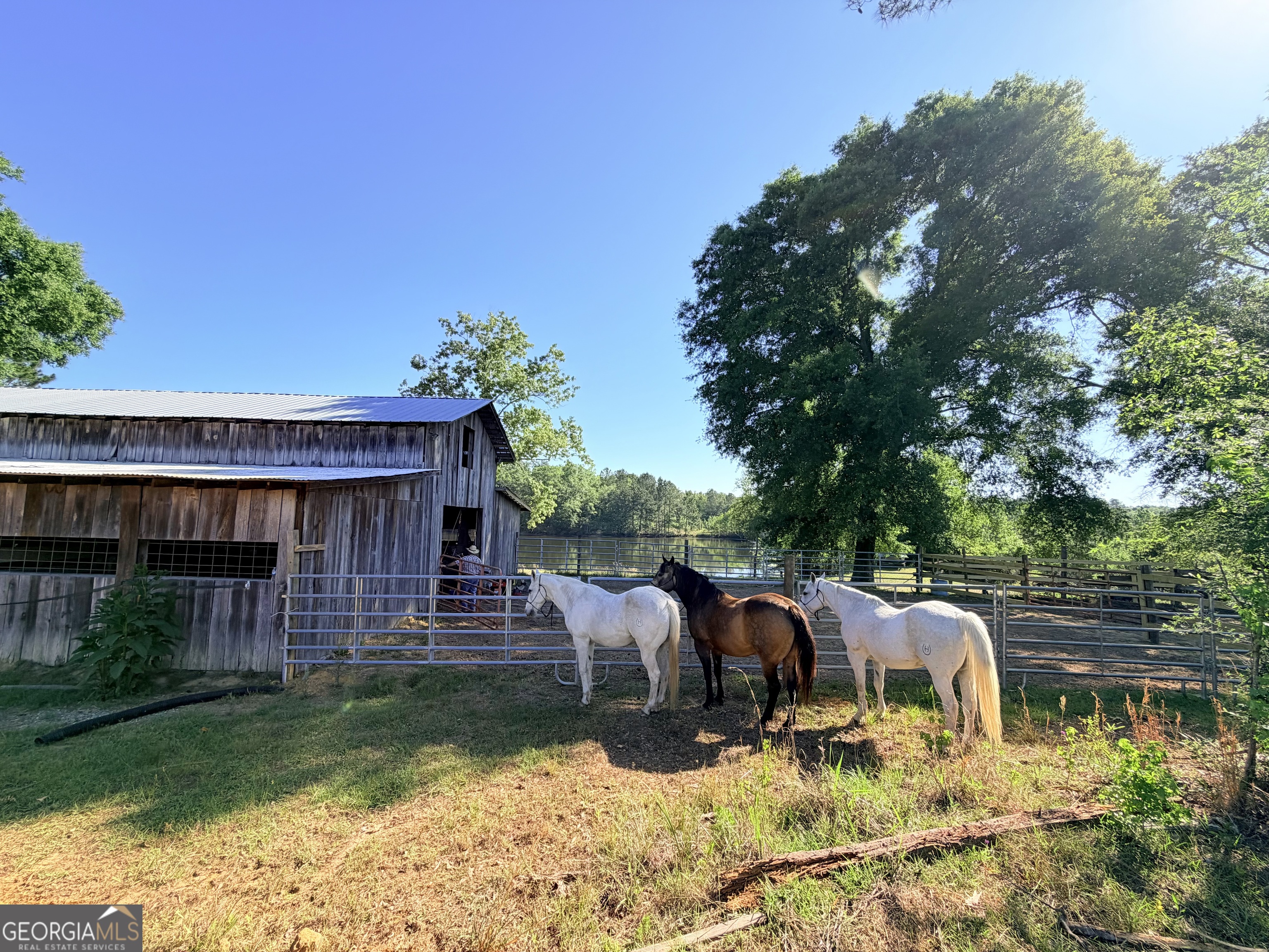 1525 Telfair Line Road Rhine GA 31077