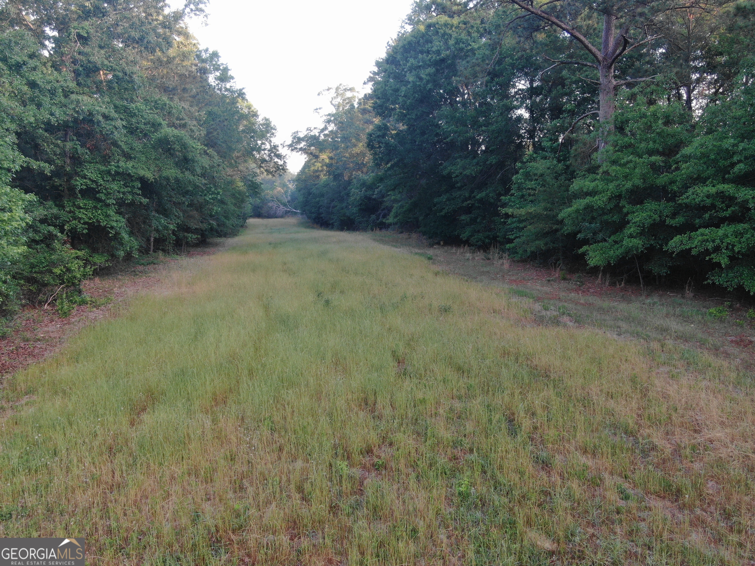 1525 Telfair Line Road Rhine GA 31077