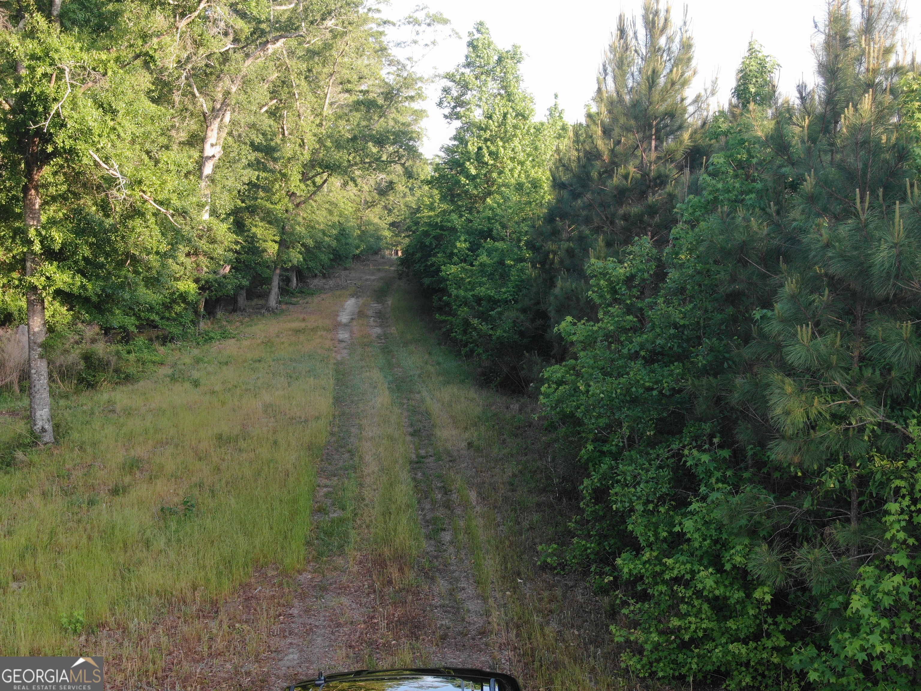 1525 Telfair Line Road Rhine GA 31077