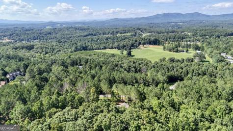 99 Loftis Mtn Trail Blairsville GA 30512