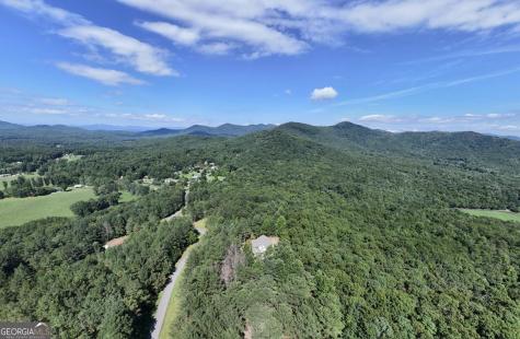 99 Loftis Mtn Trail Blairsville GA 30512