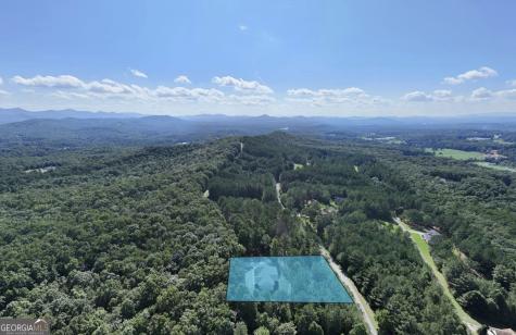 99 Loftis Mtn Trail Blairsville GA 30512