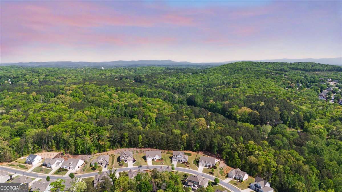 131 Longleaf Drive Canton GA 30114