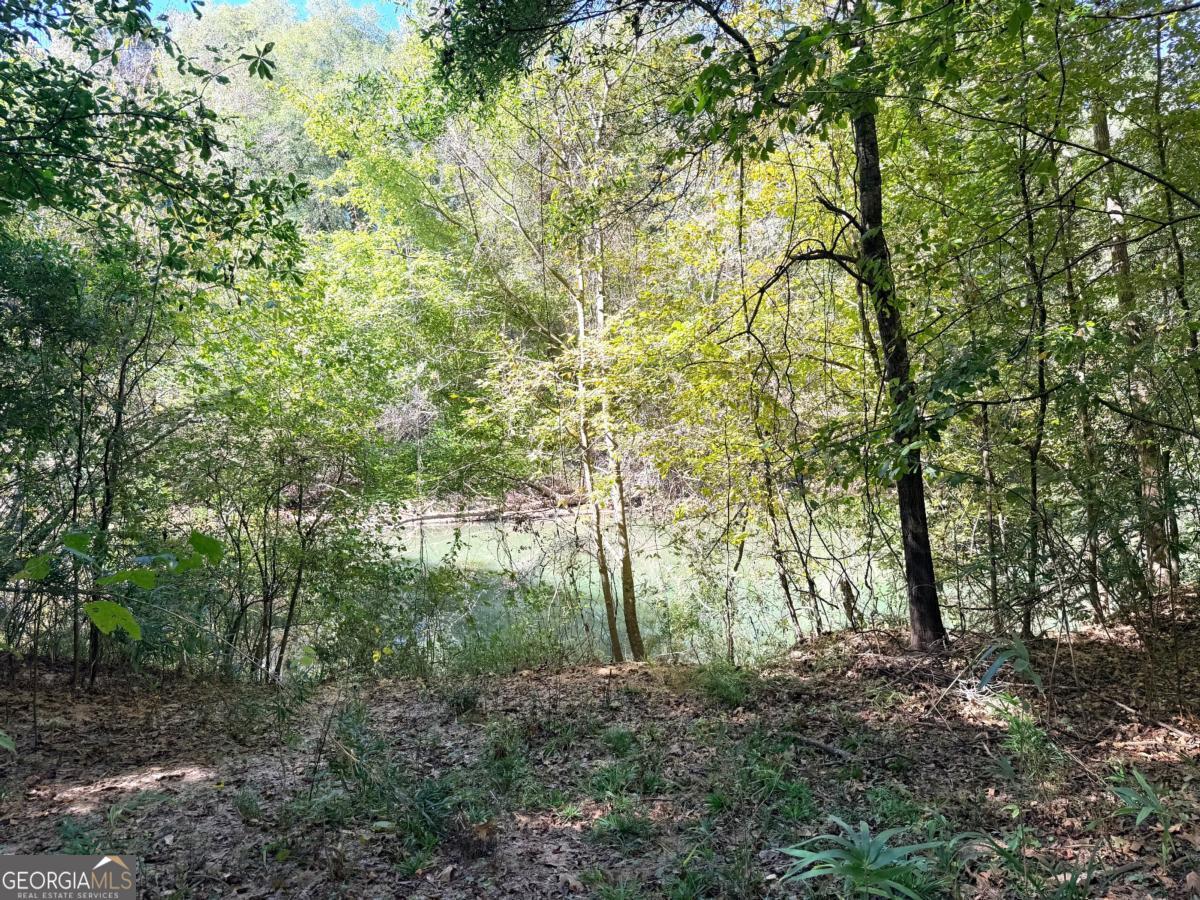 0 Towaliga South Road Jackson GA 30233