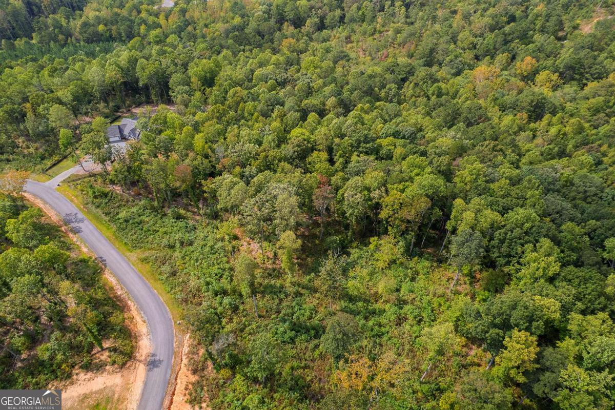 Lt 275 Highgrove Drive Talking Rock GA 30175