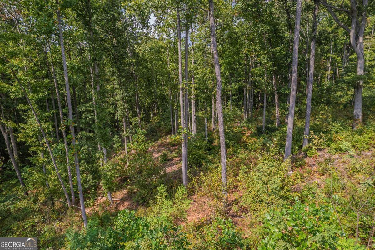 Lt 275 Highgrove Drive Talking Rock GA 30175