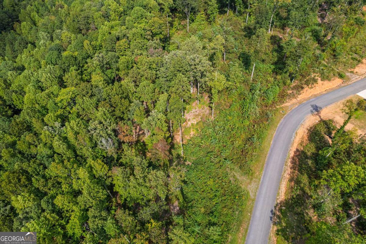 Lt 275 Highgrove Drive Talking Rock GA 30175