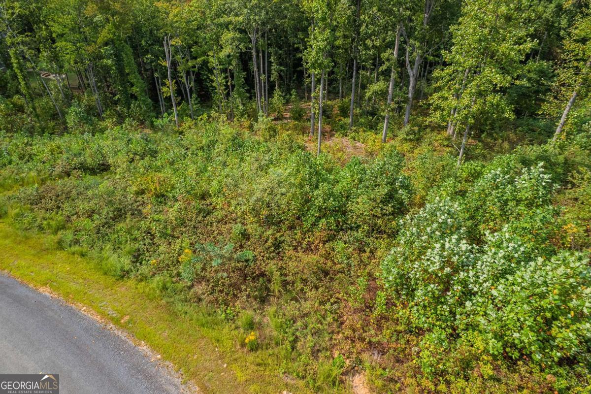 Lt 275 Highgrove Drive Talking Rock GA 30175