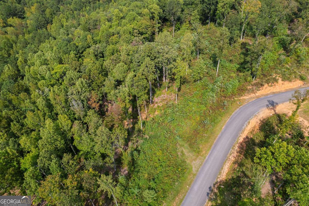 Lt 275 Highgrove Drive Talking Rock GA 30175