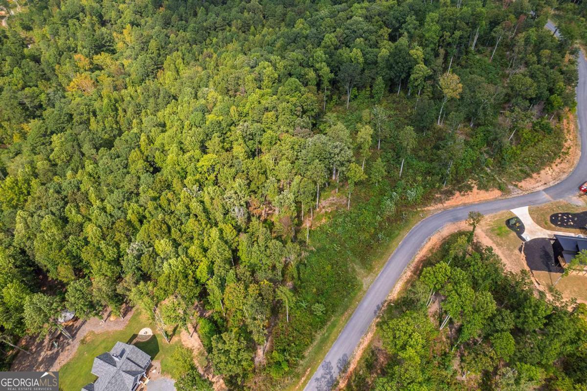Lt 275 Highgrove Drive Talking Rock GA 30175