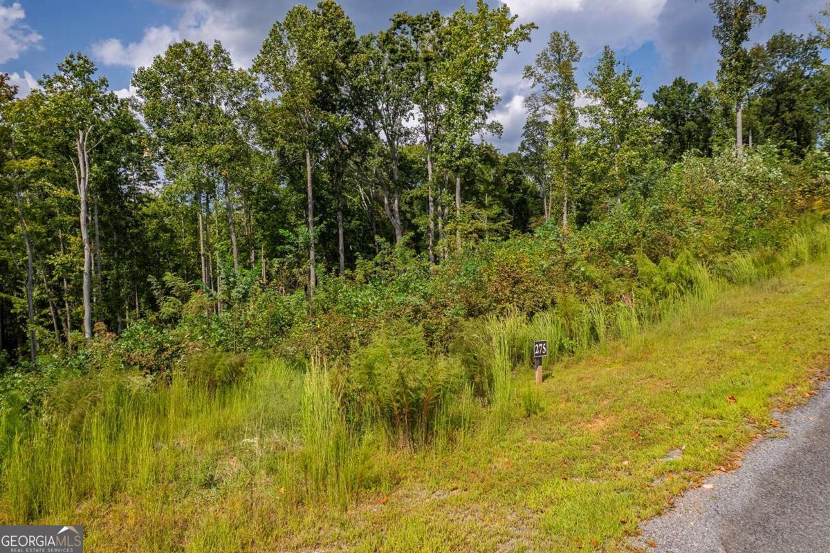 Lt 275 Highgrove Drive Talking Rock GA 30175