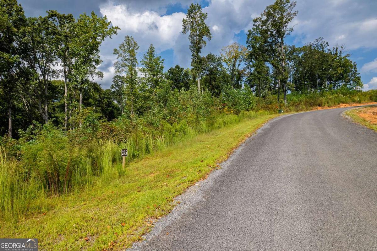 Lt 275 Highgrove Drive Talking Rock GA 30175