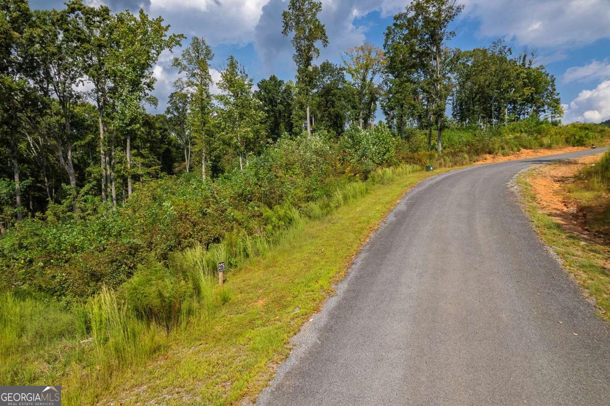 Lt 275 Highgrove Drive Talking Rock GA 30175