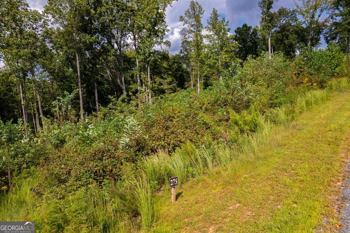 Lt 275 Highgrove Drive Talking Rock GA 30175