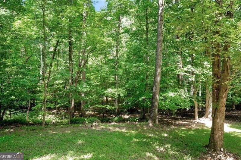 1170 Spring Oak Way Cumming GA 30041