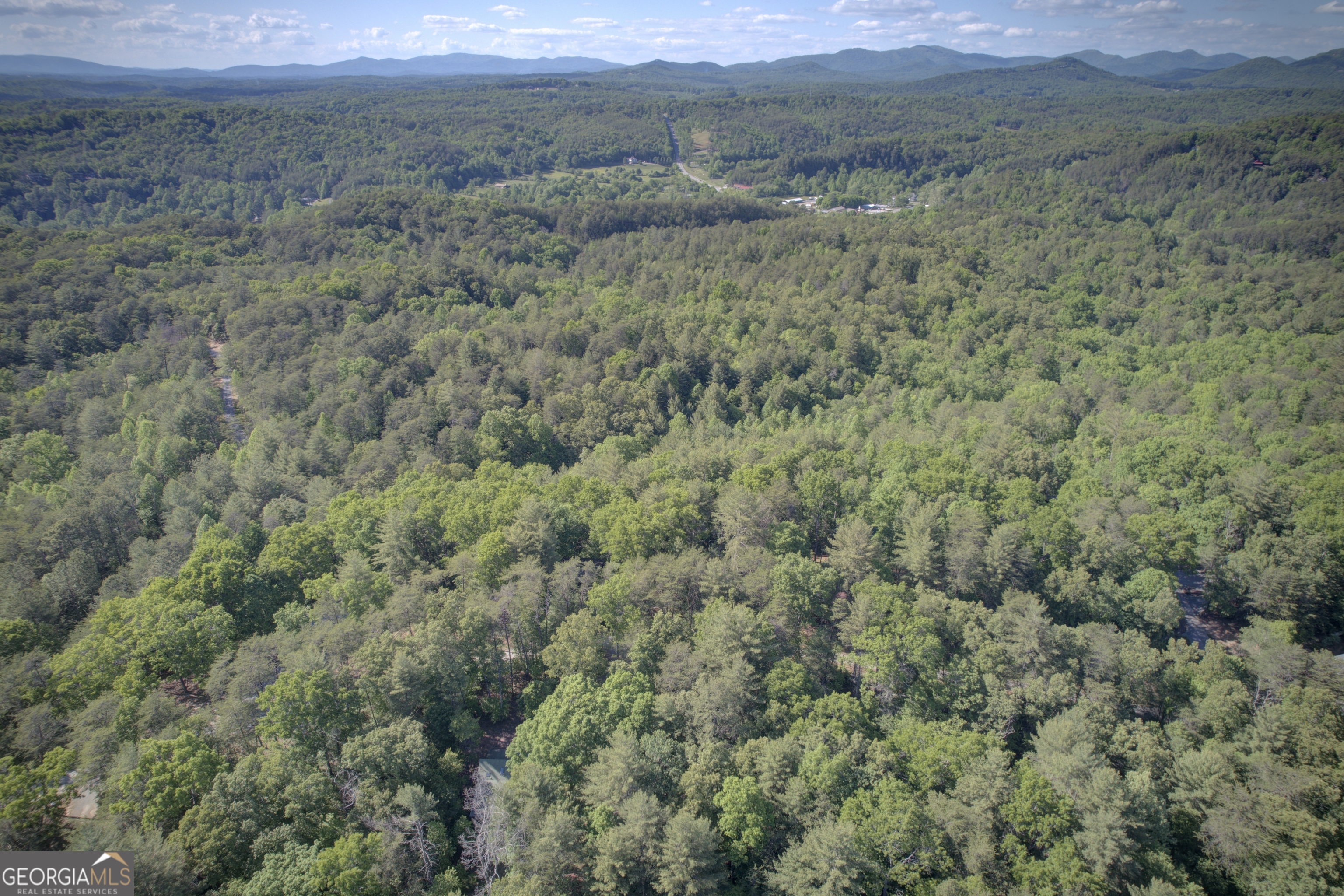 218 Bench Leg Road Mineral Bluff GA 30559