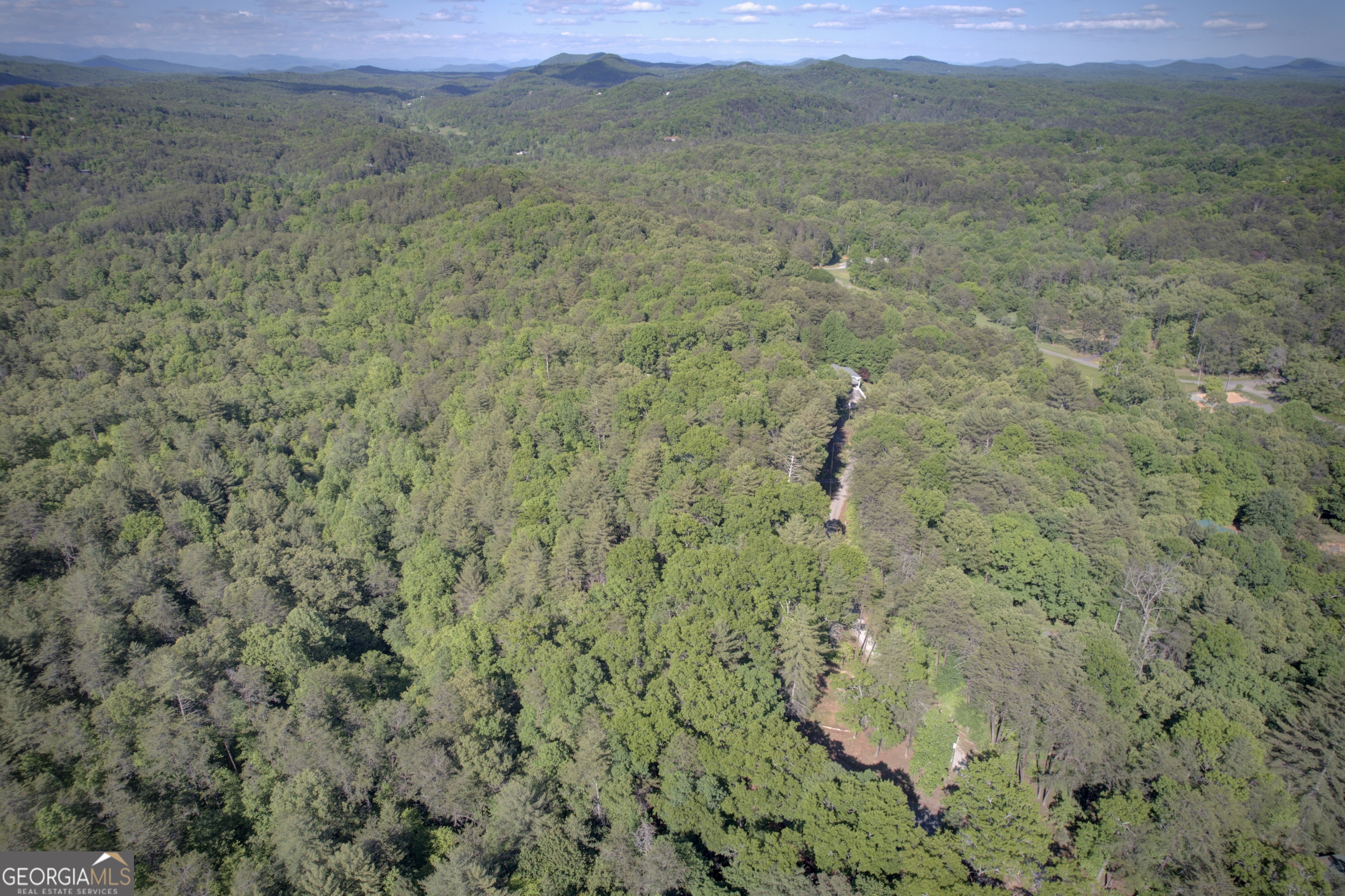 218 Bench Leg Road Mineral Bluff GA 30559