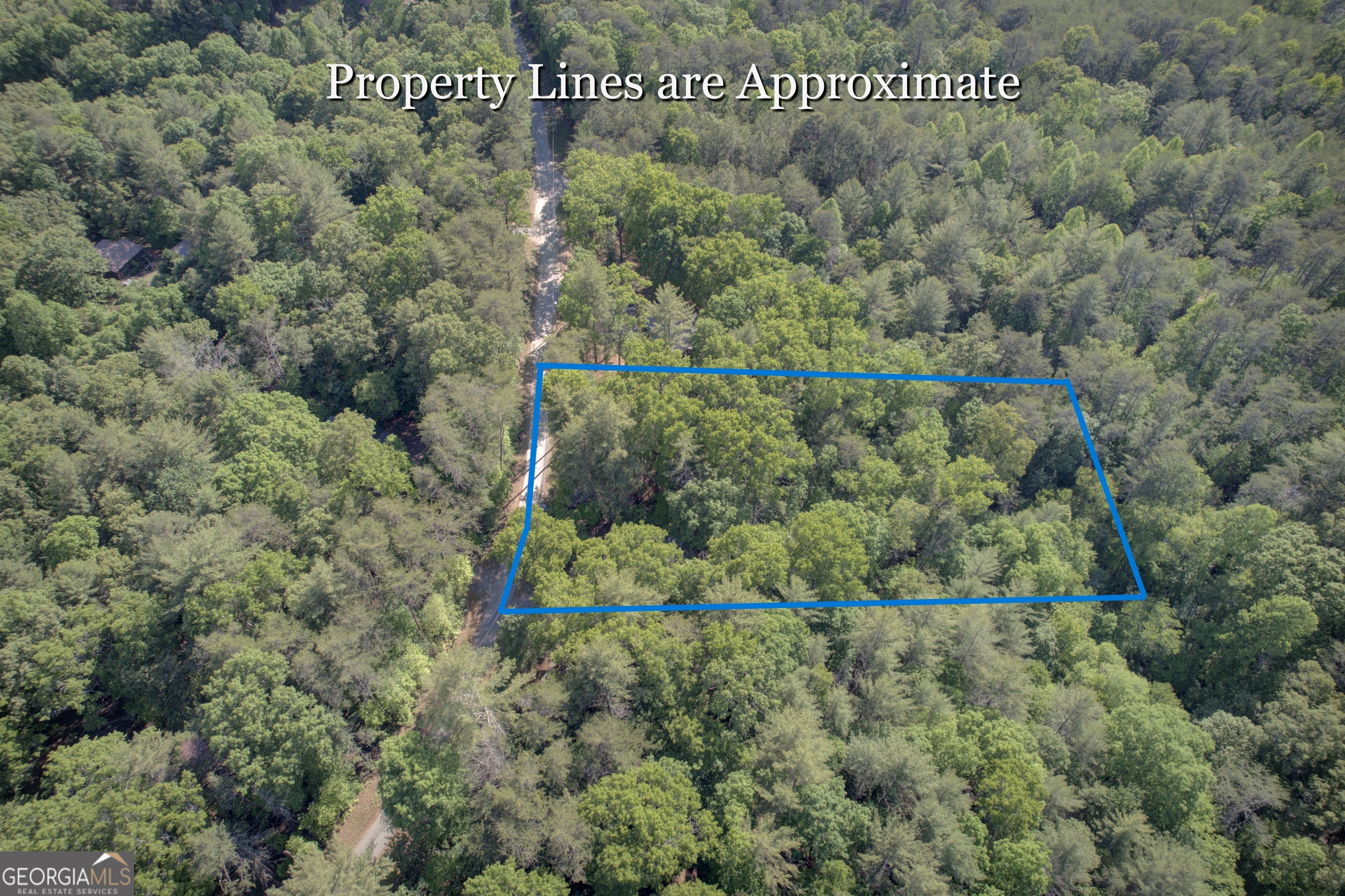 218 Bench Leg Road Mineral Bluff GA 30559