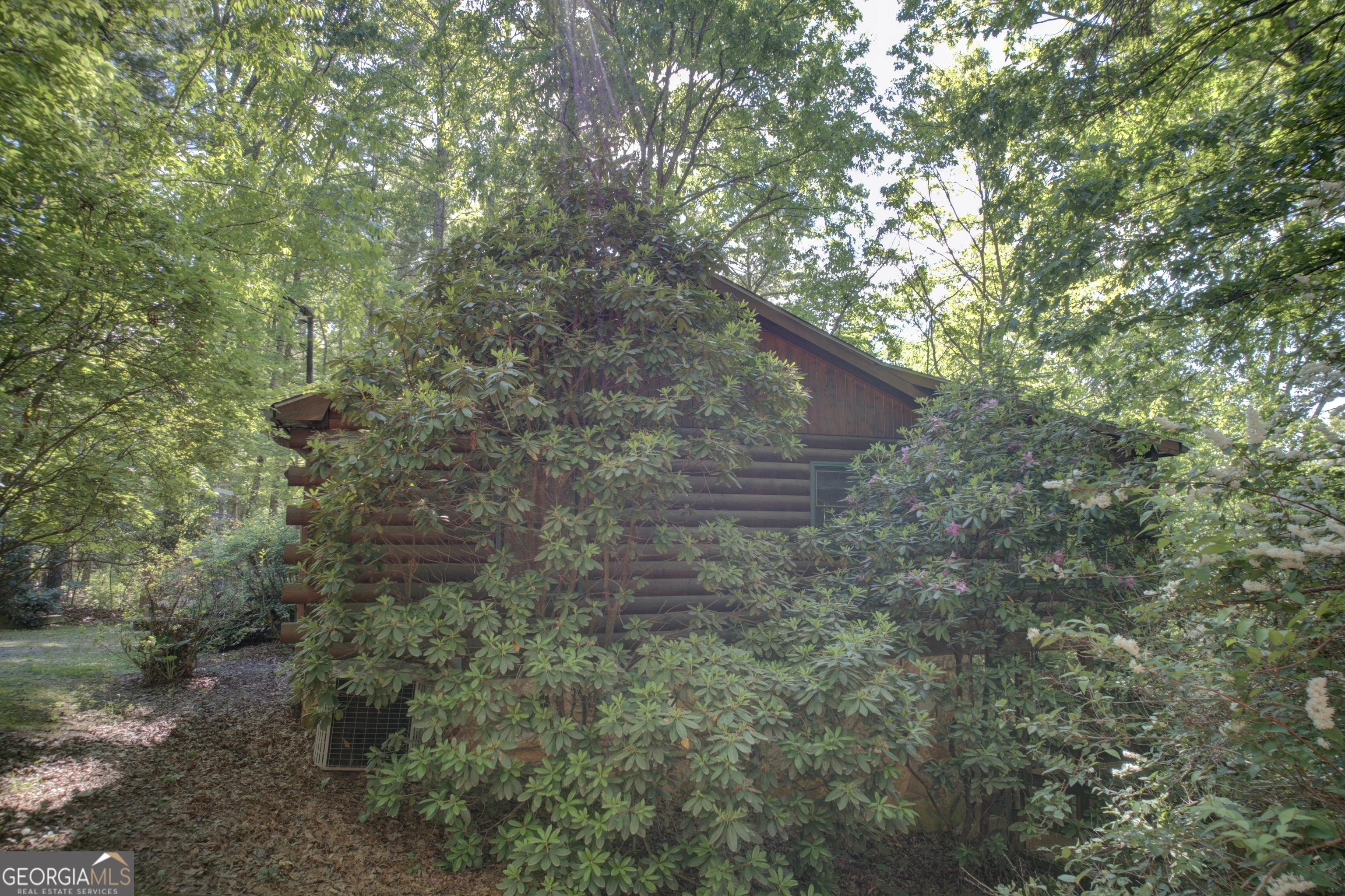 218 Bench Leg Road Mineral Bluff GA 30559