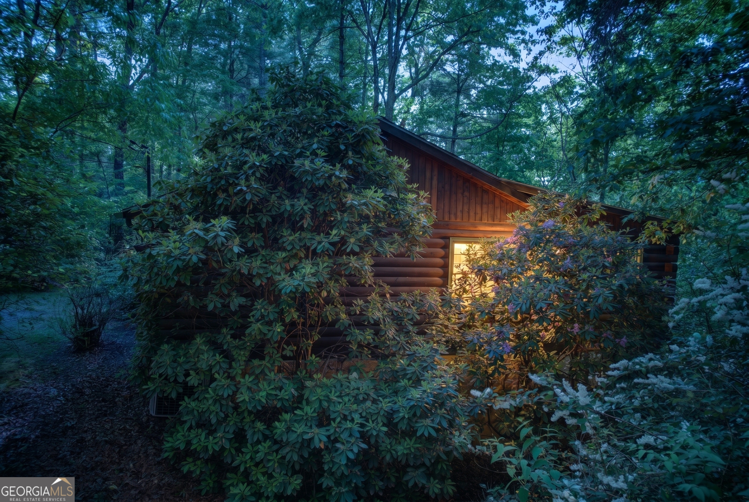 218 Bench Leg Road Mineral Bluff GA 30559