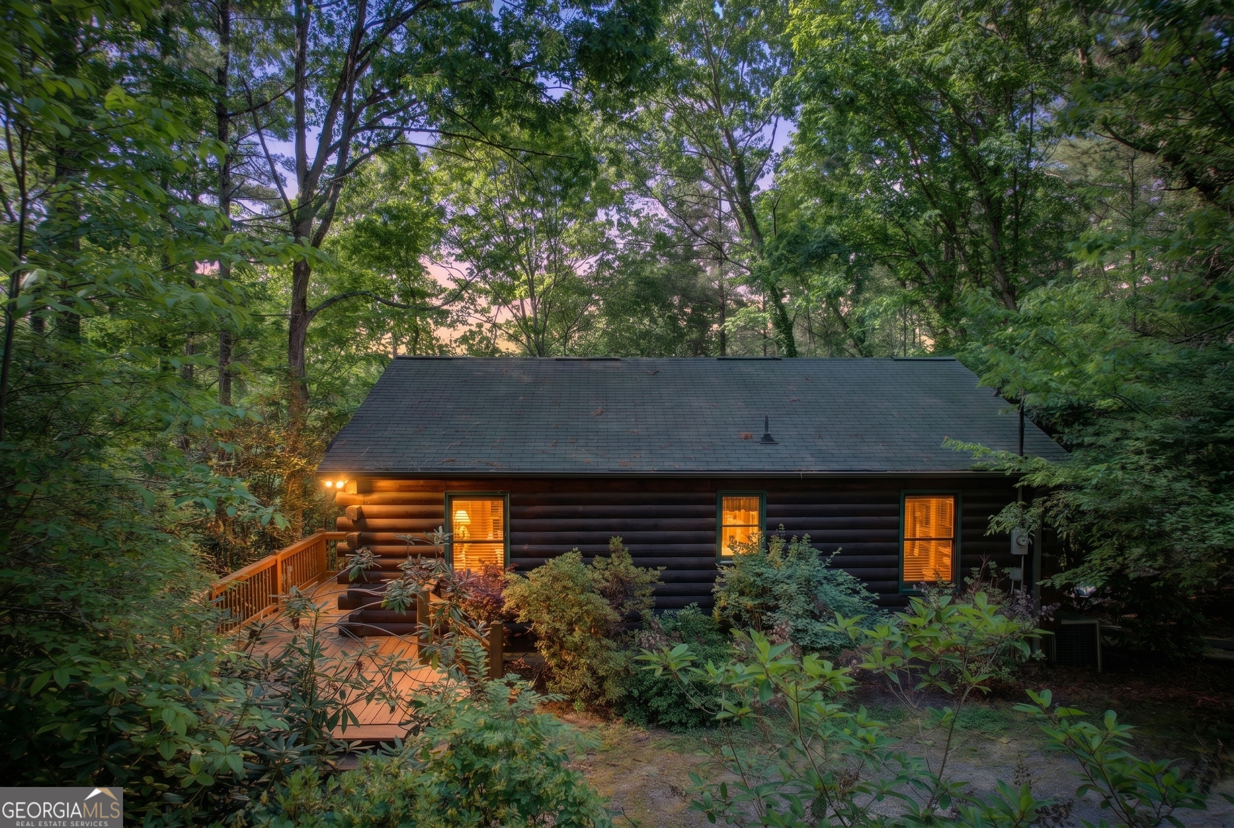 218 Bench Leg Road Mineral Bluff GA 30559