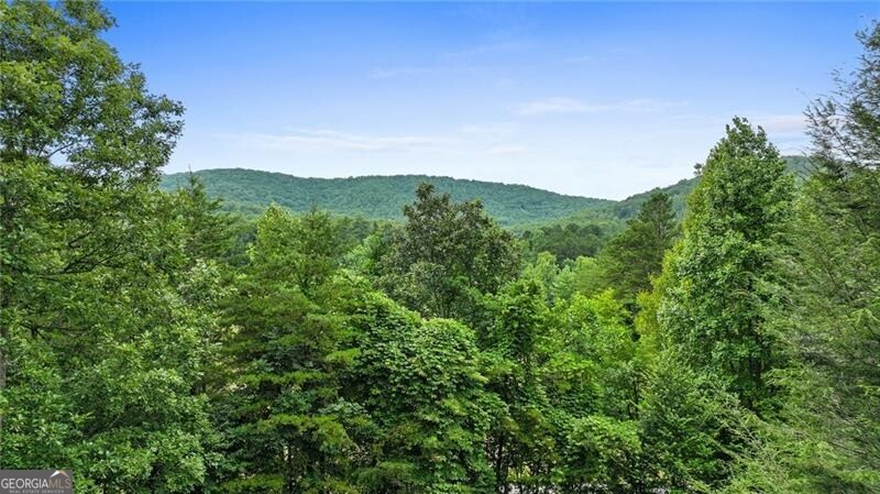 2930 Hicks Gap Road Blairsville GA 30512