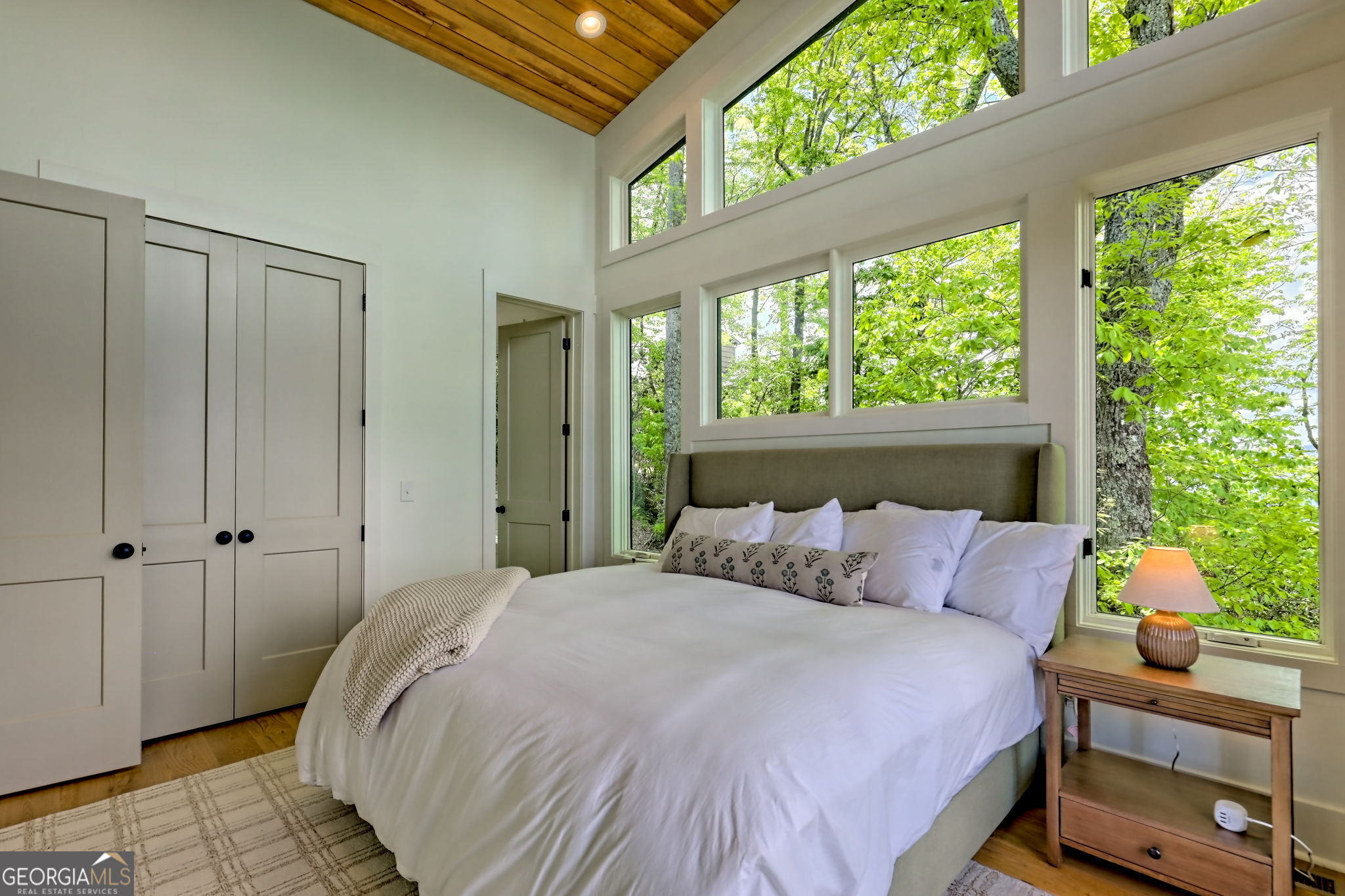 602 Charmont Drive Tiger GA 30576