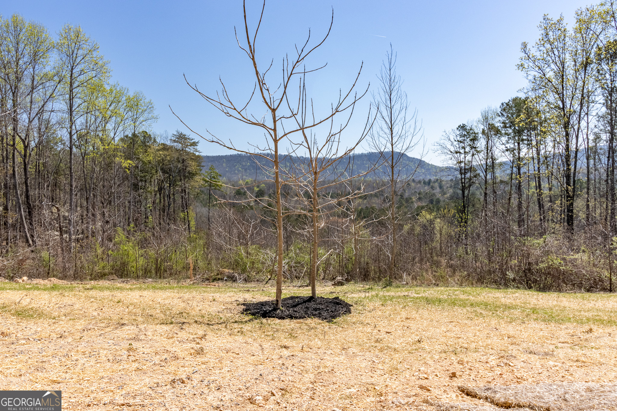 456 N Ridge Estates Trion GA 30753