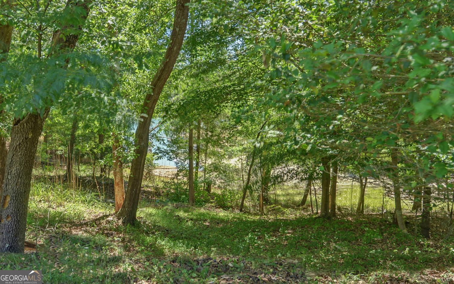 194 Harvey Lane Lavonia GA 30553