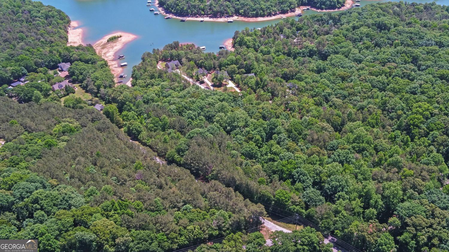 194 Harvey Lane Lavonia GA 30553