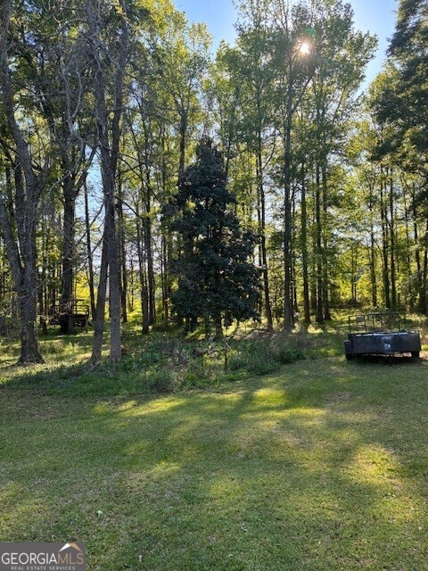 74 Willow Dell Drive Senoia GA 30276