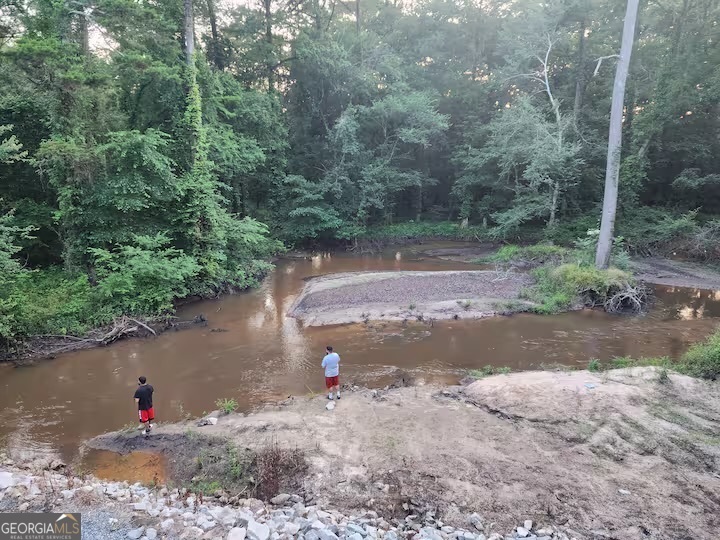 326 Turkey Run Dublin GA 31021