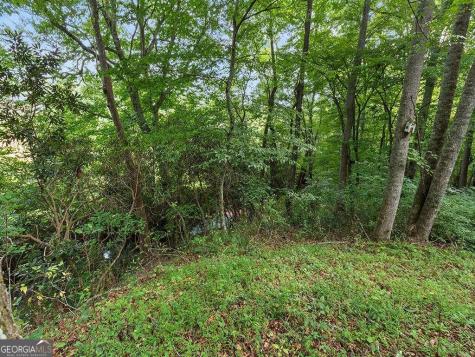 213 Hamilton Place Blairsville GA 30512