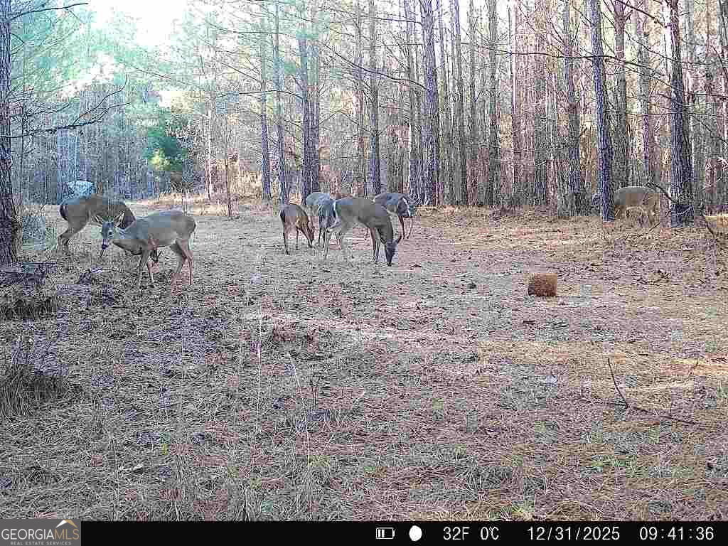 1208 Elberton Road Lexington GA 30648